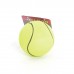 Игрушка Papillon Neon sponge balls для собак "Неоновый мяч", латекс, 6 см Игрушка Papillon Neon sponge balls для собак "Неоновый мяч", латекс, 6 см